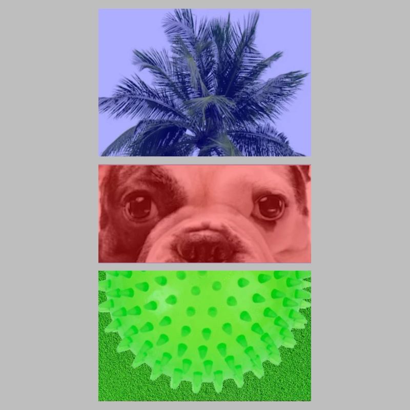 Triptych Palm Tree – Dog – Spikes