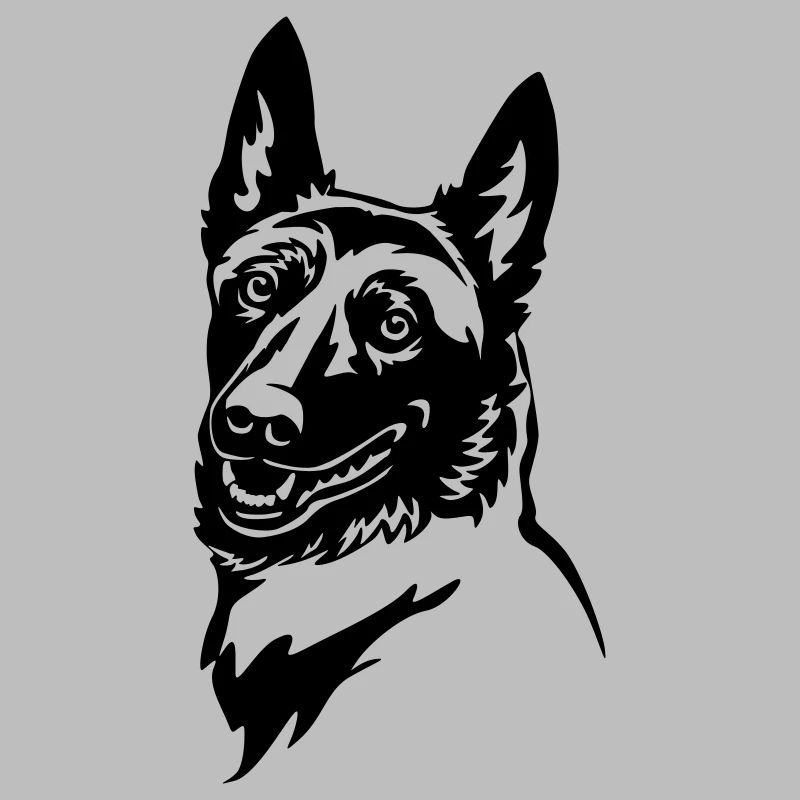 Malinois Kopf