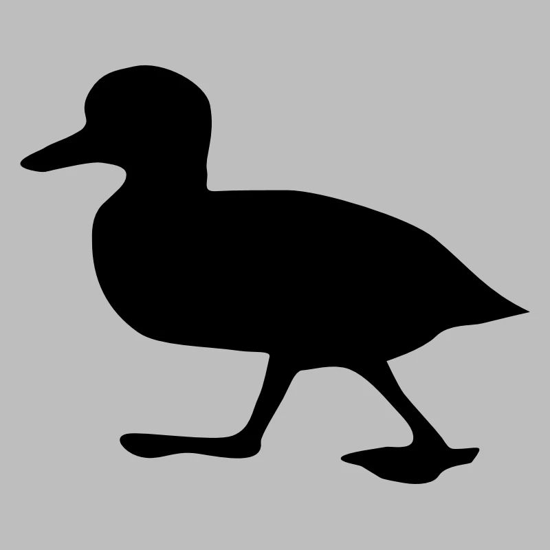 Duck, chick 3 (super cheap!)