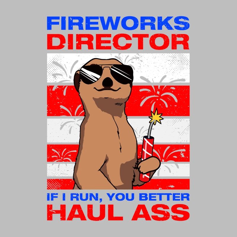 Fireworks director Pyrotechnician Firecrackers