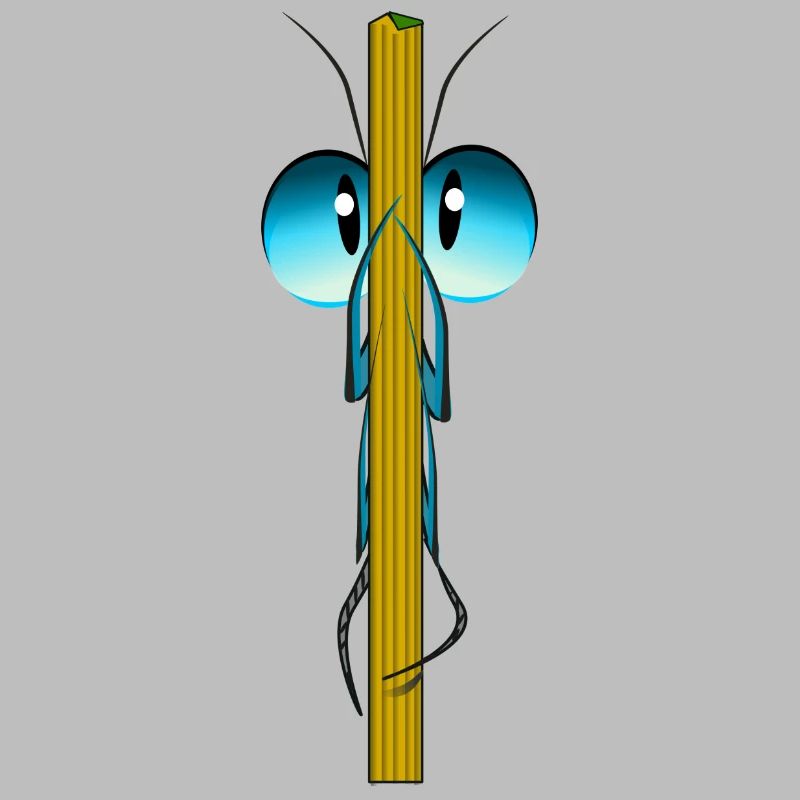 insect