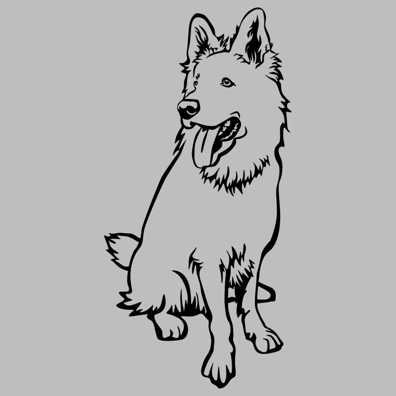 Schweizer Schäferhund