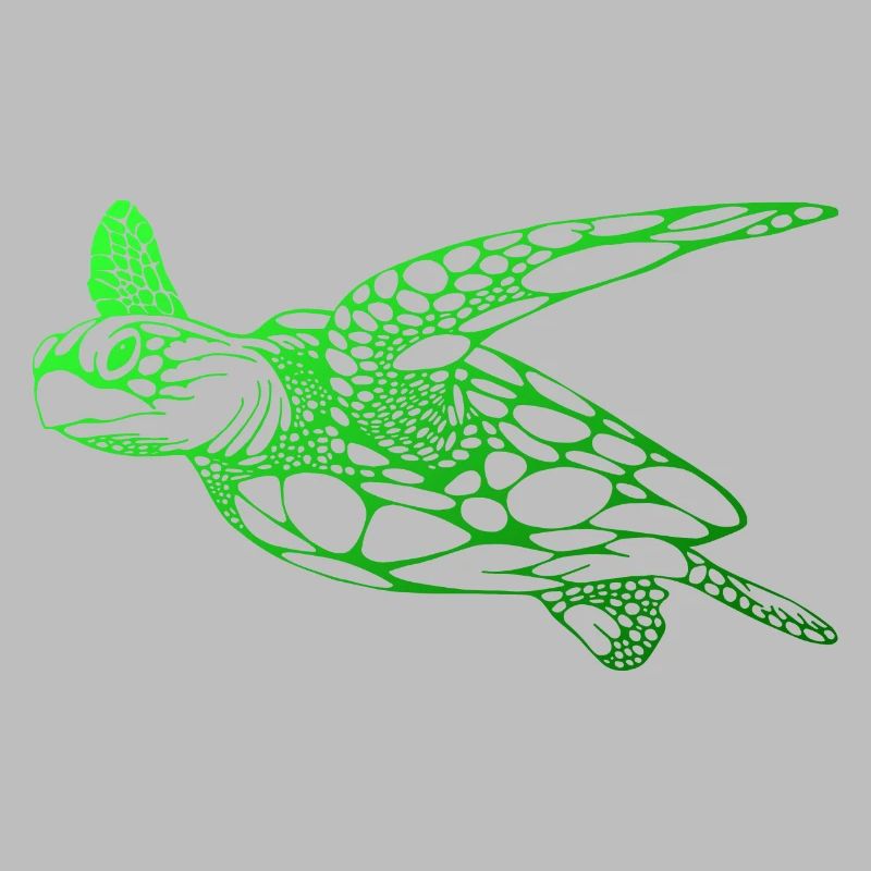 dive diver turtle tortue plongée plongeur