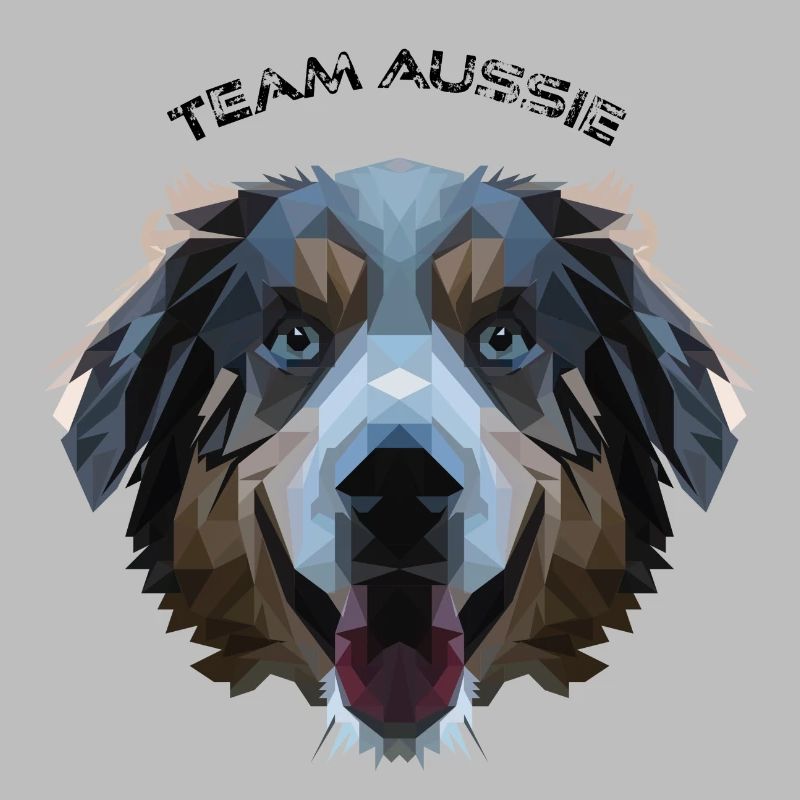 Aussie dans la conception de polygones - géométrie