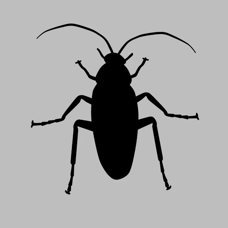 Les vermines cafards Scharbe