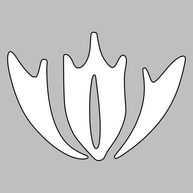 Boroni Ornament 2 - Vectorgraphic