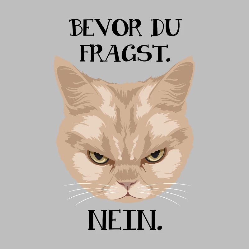 Grumpy Cat - Avant de demander_Non - P.