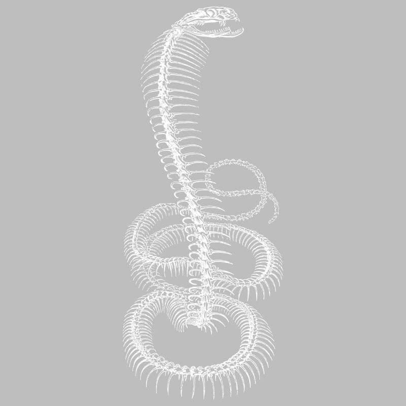 Cobra