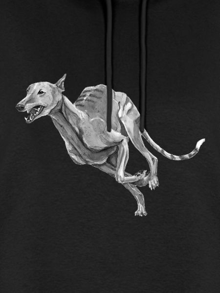Windhund