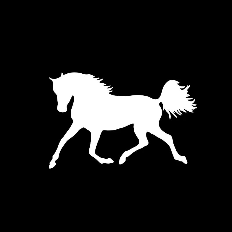 Silhouette de cheval blanc
