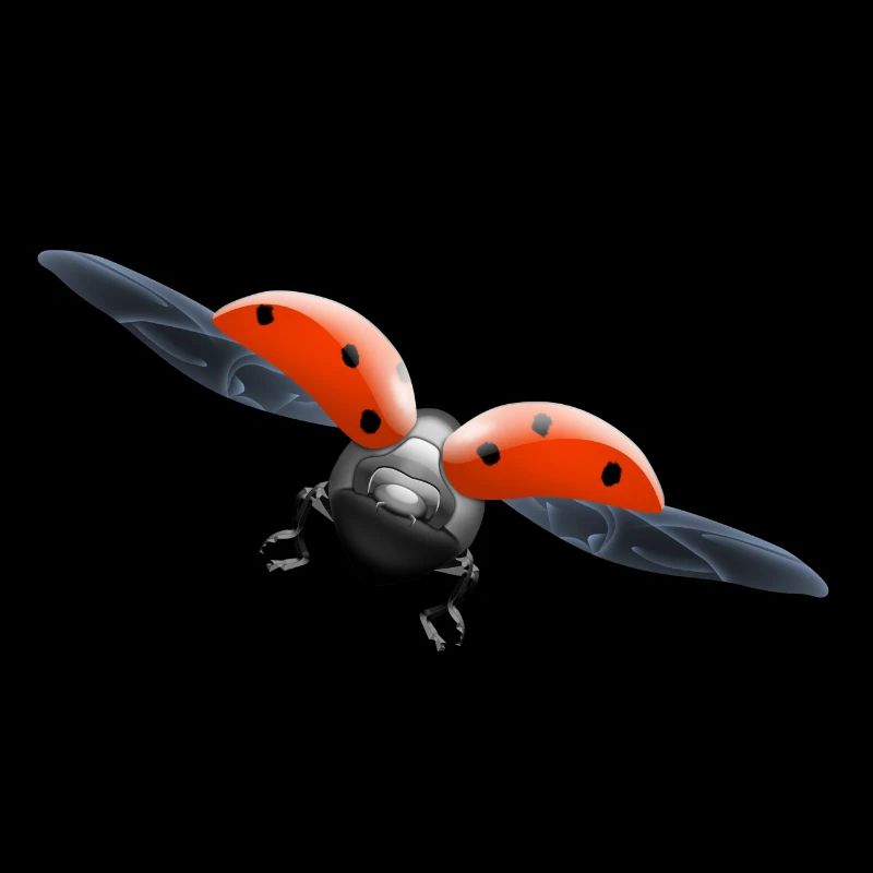 ladybug Marienkäfer