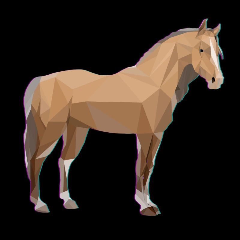 Reiten Pferdemädchen Pferd