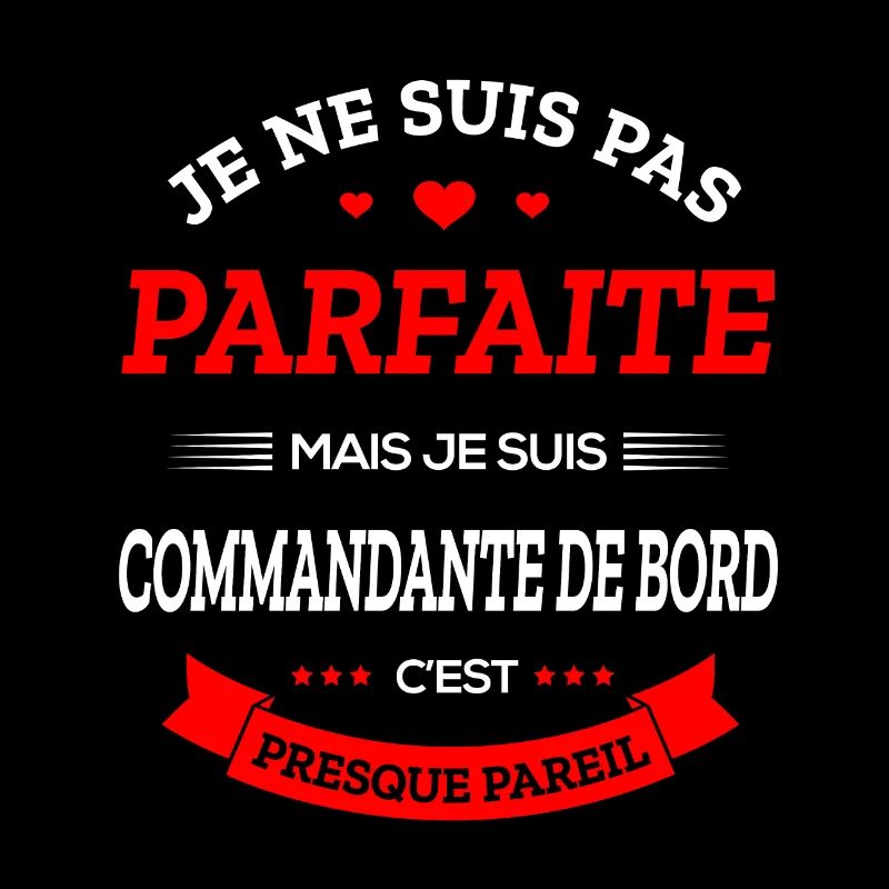 COMMANDANTE DE BORD PARFAITE