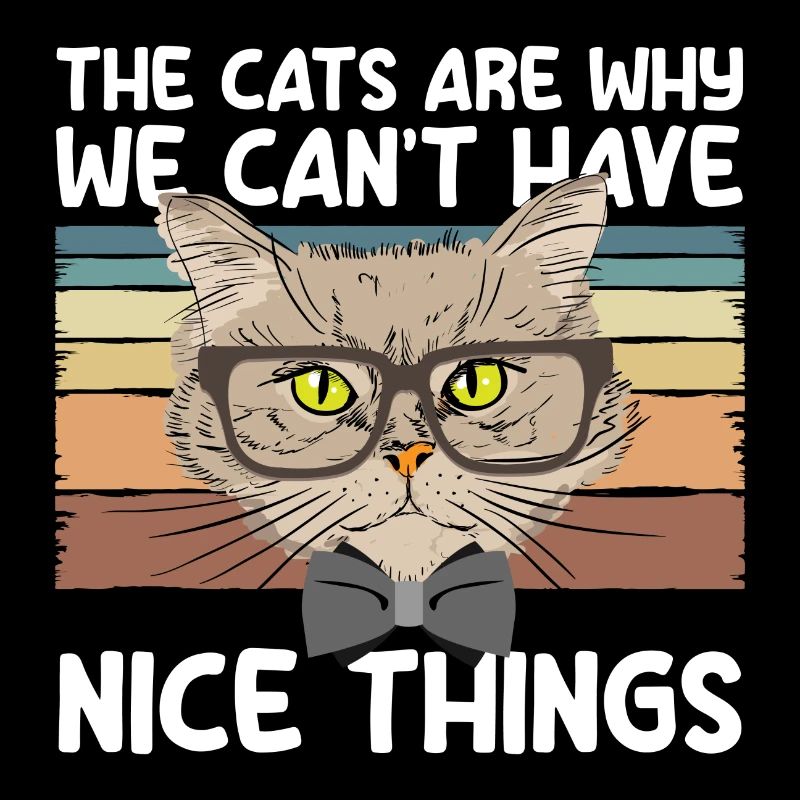 Chat Yeux de chat Ami Chat Maîtresse