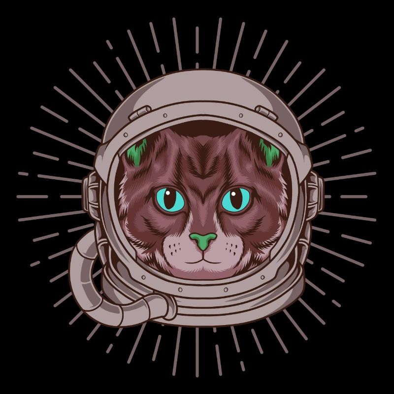 Chat astronaute