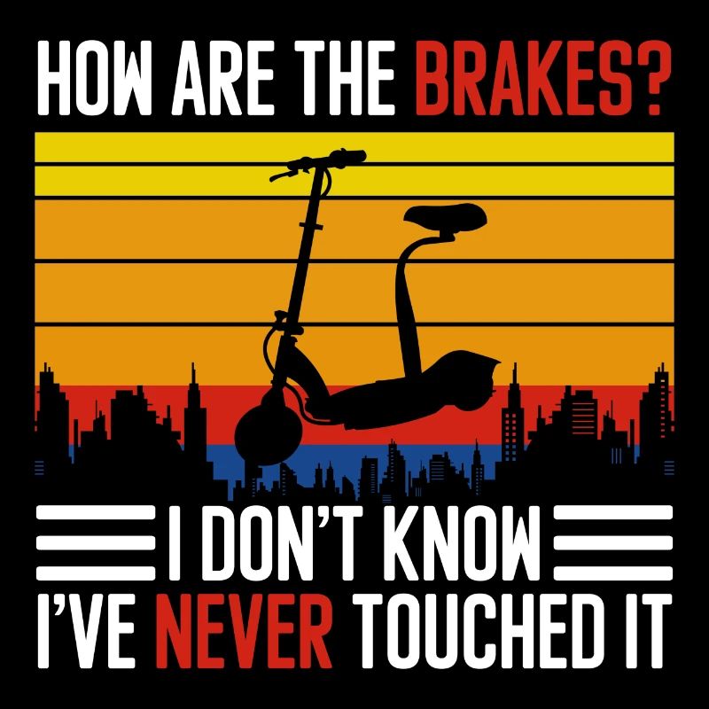 E-Scooter Elektrik Batterie