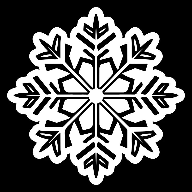 Snowflake Snow Icon