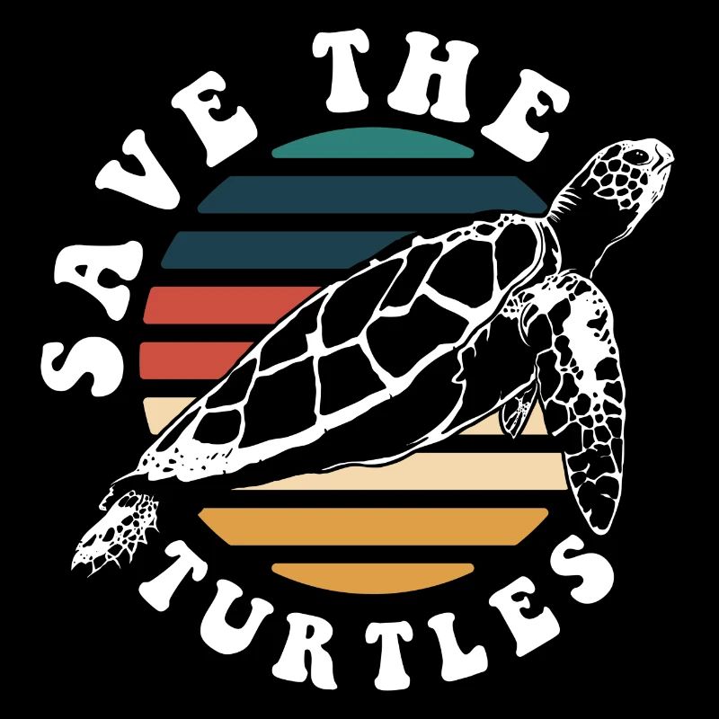 Turtles Animal Pet
