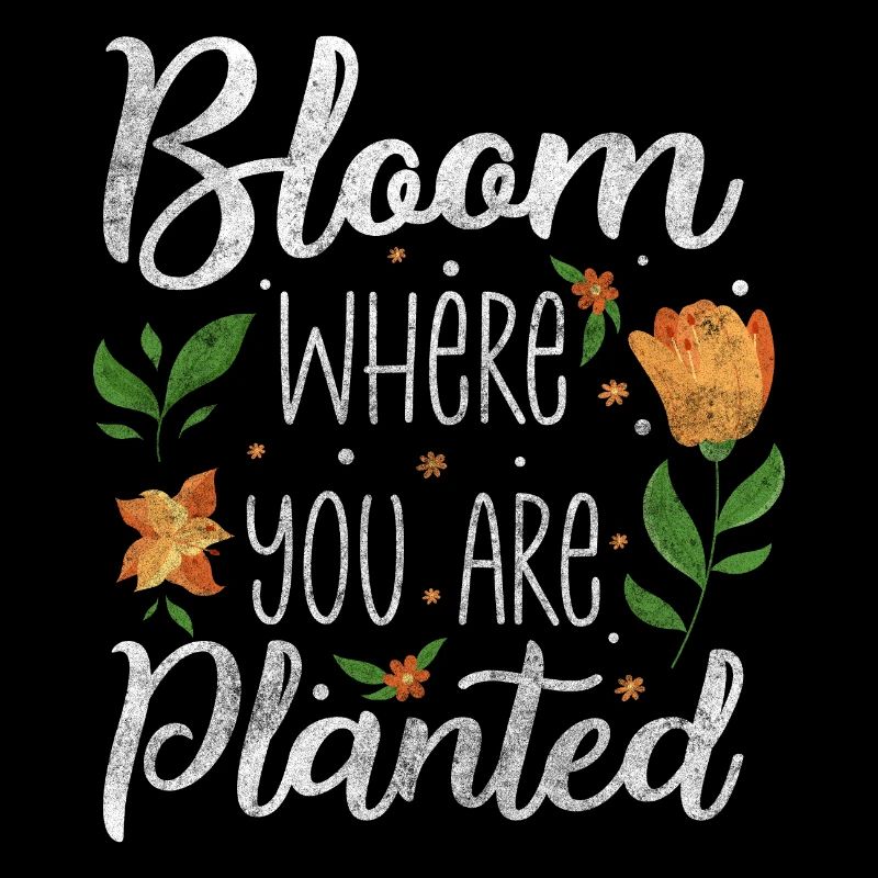 Blumen Duft Liebe Blumenstrauß