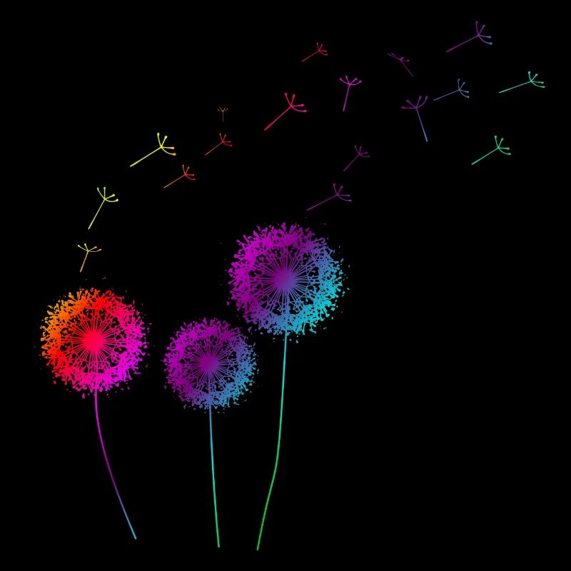 Pusteblumen Geschenkidee