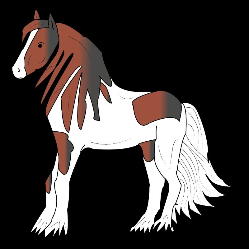 Pretty black-brown-white Tinker draught horse