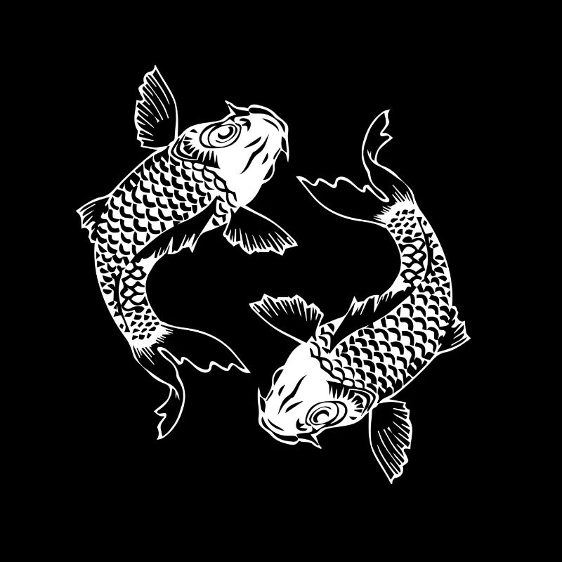 Carp Koi White