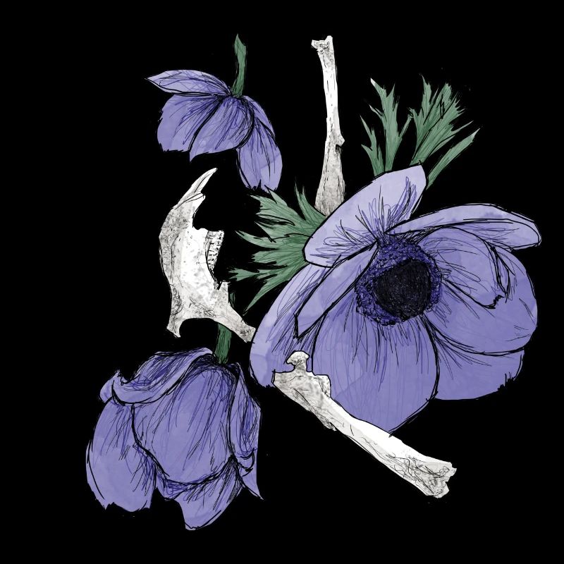 Flowers and bones