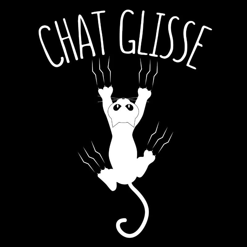 Chat glisse !