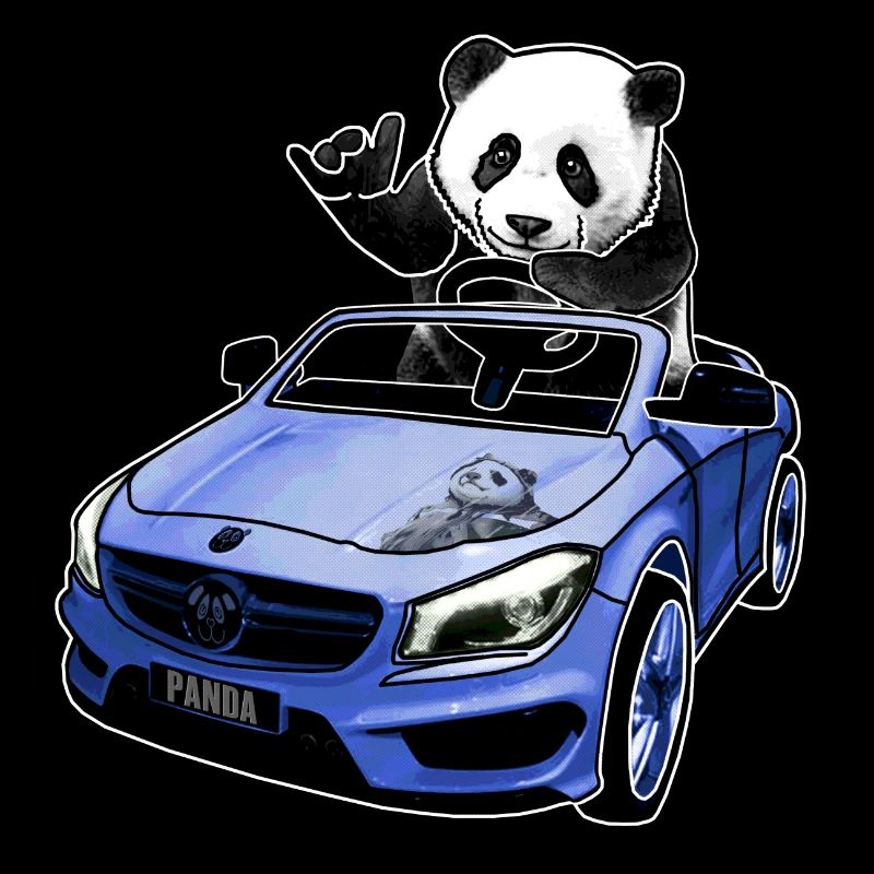 panda im auto geschenkidee