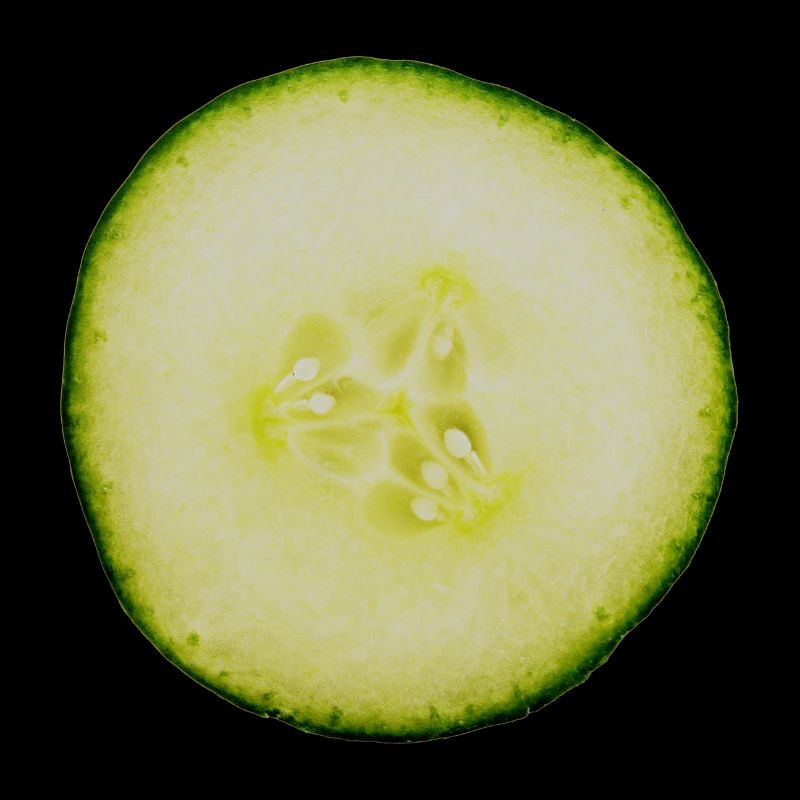 Concombre Tranche Concombre Concombre Légume Légumes