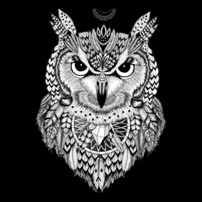 owl