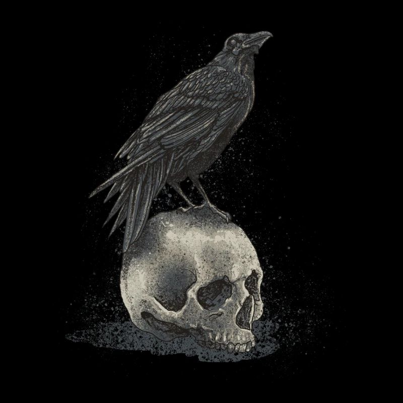 crow skull