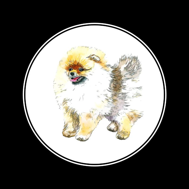 Illustration de l’aquarelle du chien Spitz de Poméranie