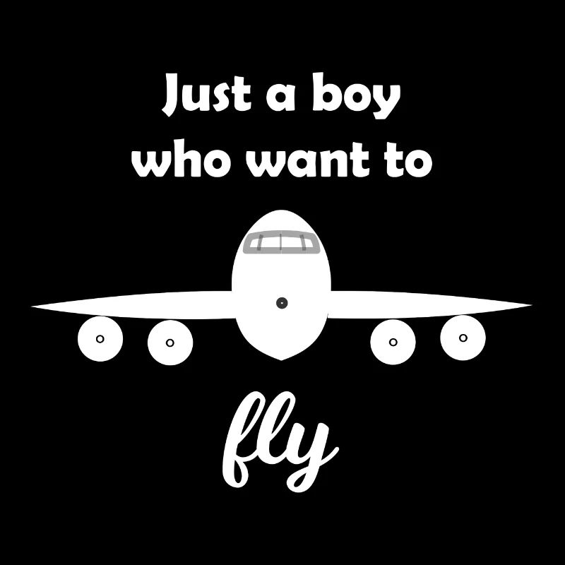 das Flugzeug