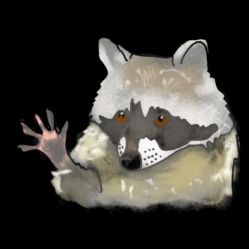 Waschbär