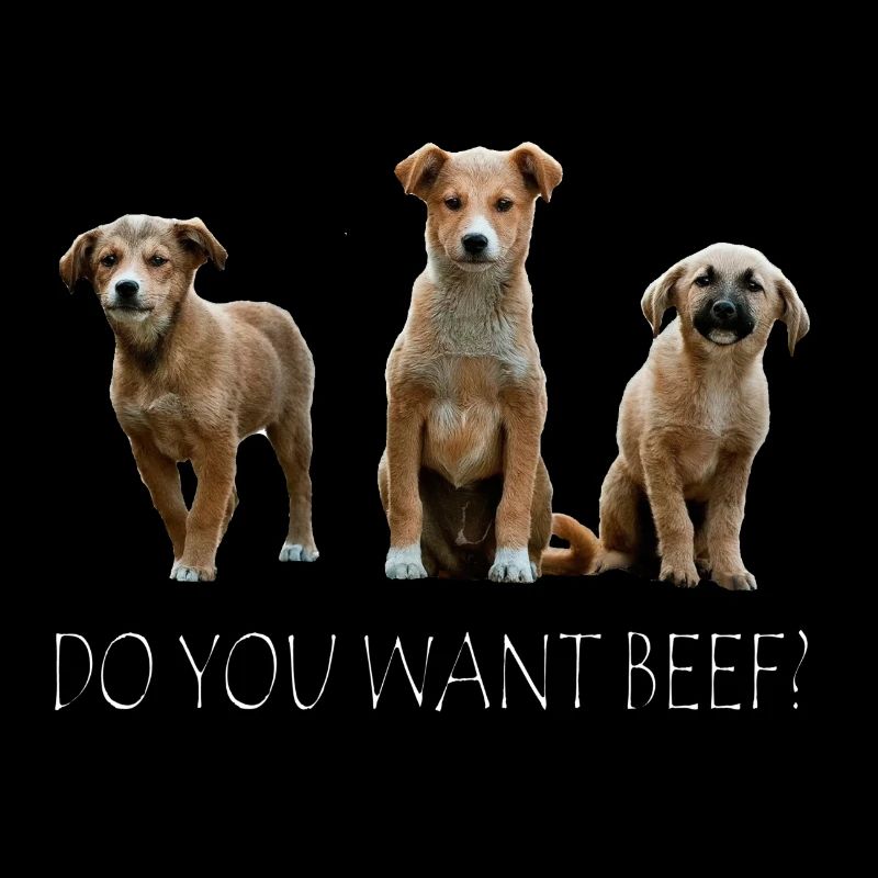 Bœuf chiot