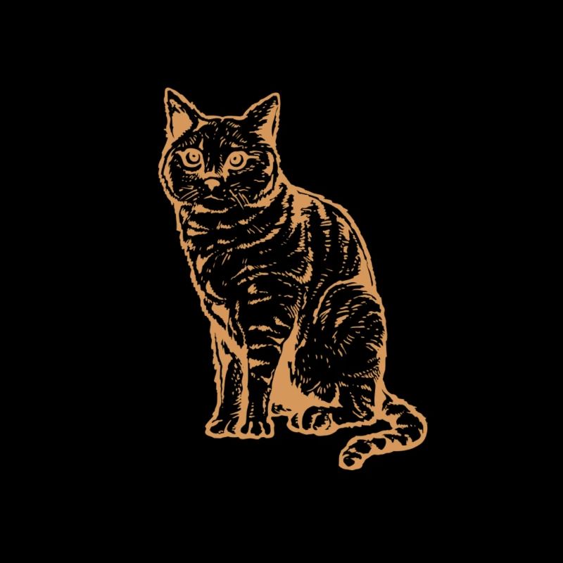 Katze