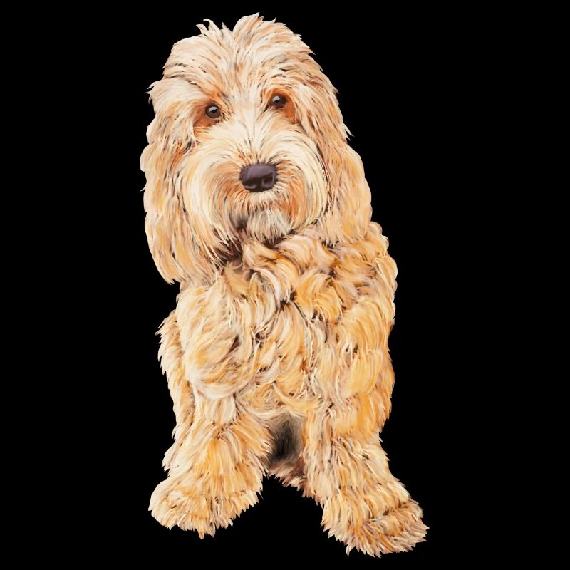 APRICOT BLONDE COCKAPOO - COCKAPOO DOG LOVER