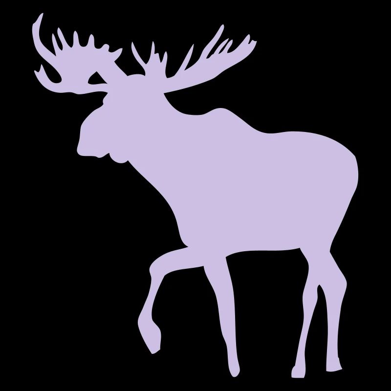 Elch - Moose - Elk