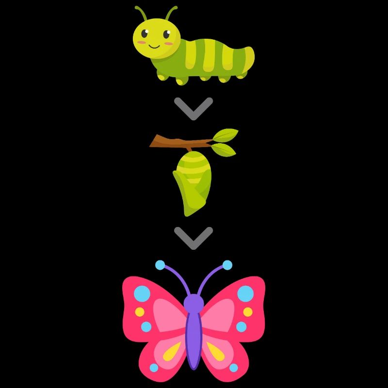 Transformation de chenille en papillon