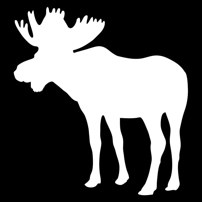 Elch - Moose - Elk