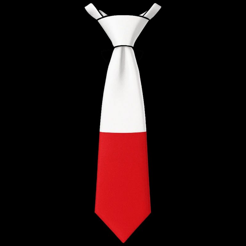 Cravate Pologne – Conception du drapeau