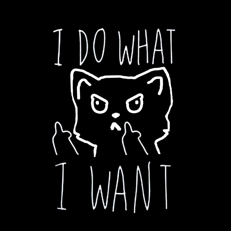 funny cat and middle gift idea