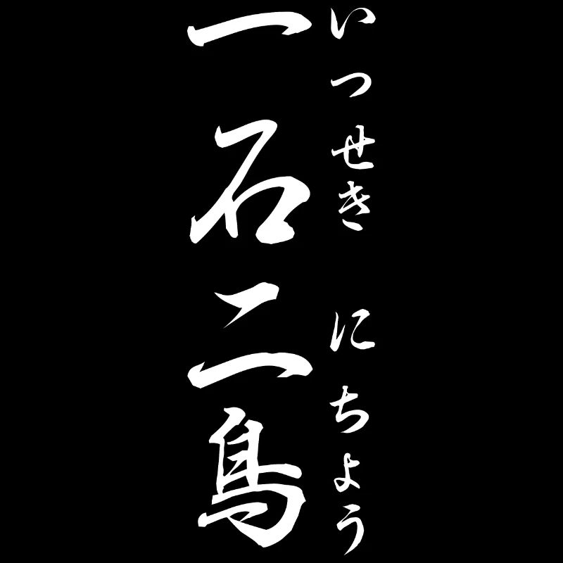 Faire d’une pierre deux coups: Yojijukugo