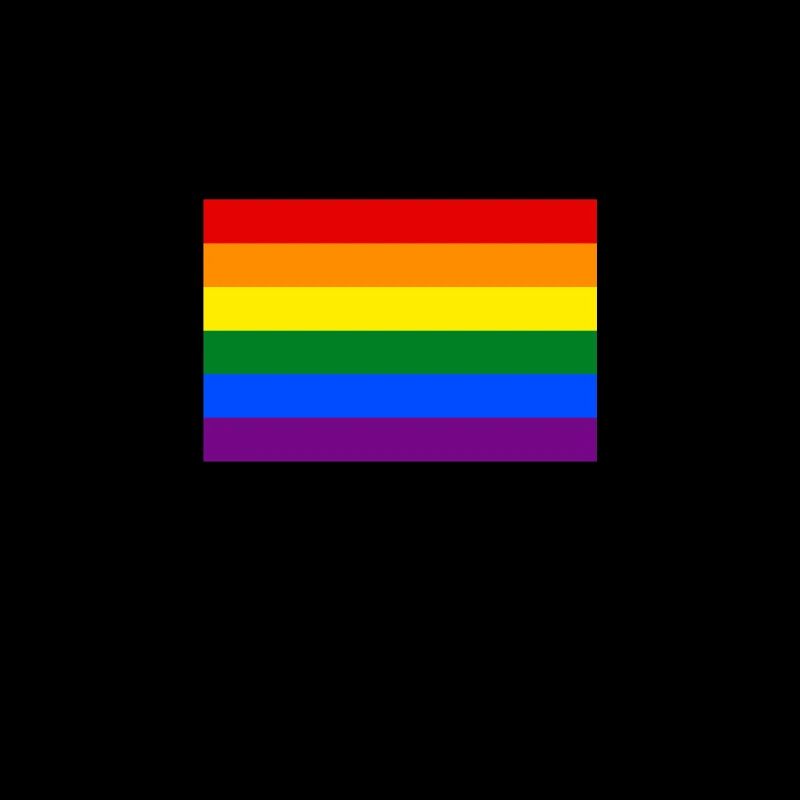 Drapeau arc en ciel bannière CSD LGBT tolérance colorée