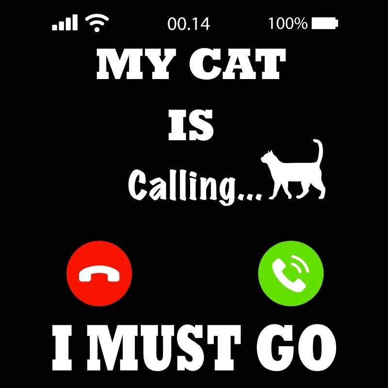 Mon chat appelle