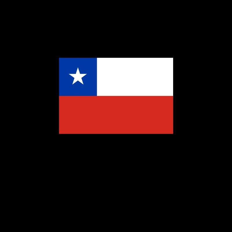 Chile Chilean Flag Flag