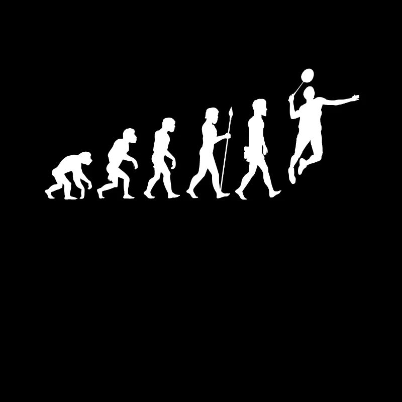 badminton federball sport evolution