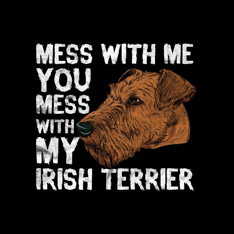 Dogs - do not lie down with my Irish Terrier