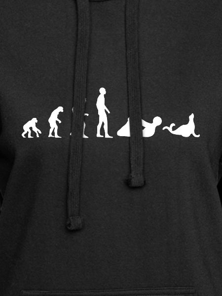 Robbe Evolution
